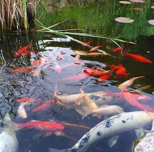 Am Silberberg 3* Gartz